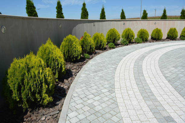 Trusted Minnetonka, MN Driveway Pavers Experts
