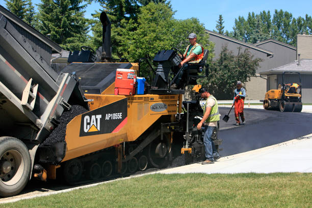 Best Decorative Driveway Pavers  in Minnetonka, MN